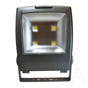 Tracon  LED fényvető, porszórt házas, R-SMDP-200W LED reflektor 0